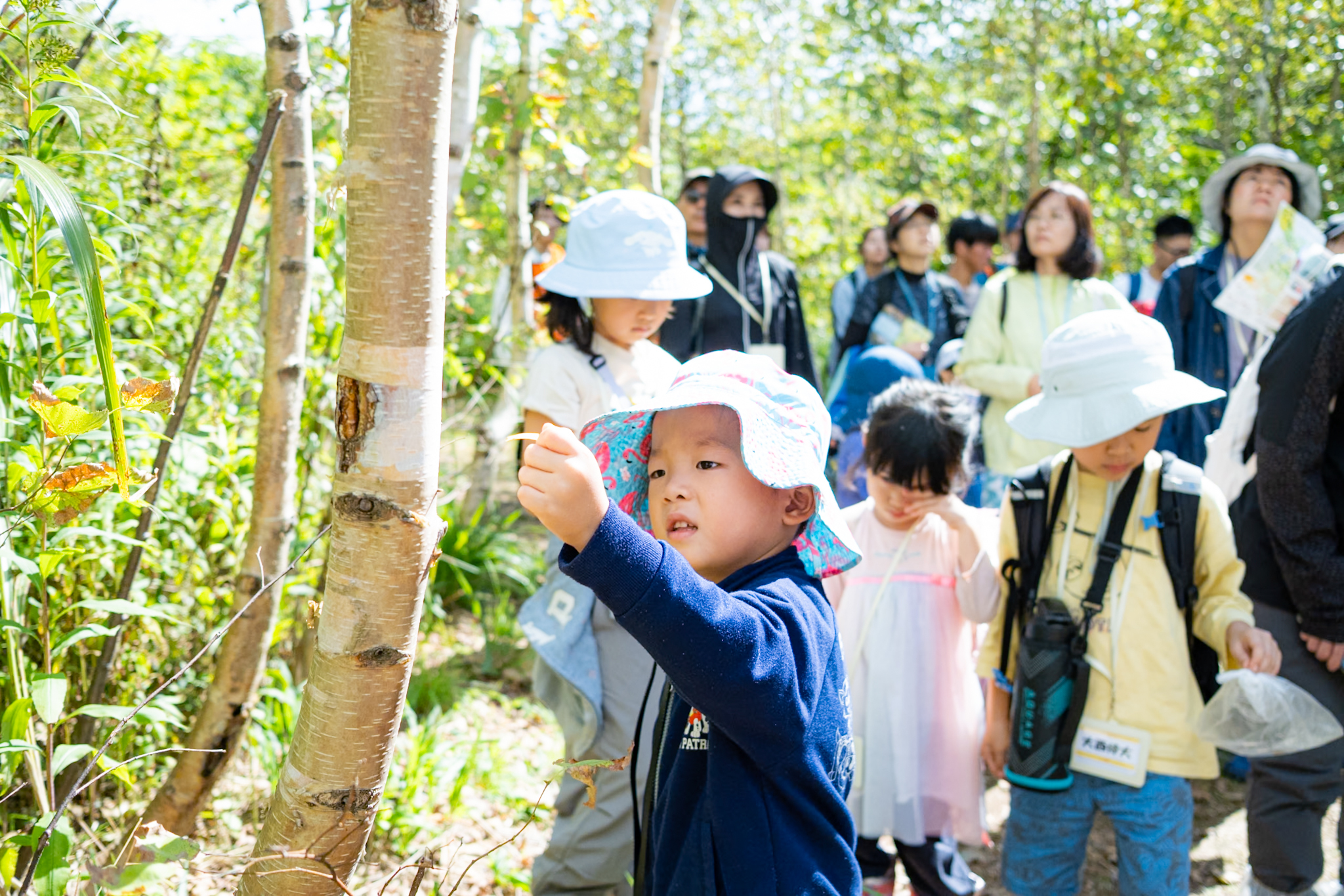 森フェスのレポート記事はコープサイクルでをチェック！