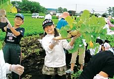<p>北広島の有機農家・佐々木さんの収穫体験に参加しました。ホカホカの有機の土はとってもいい感触！そんな土の中で育った大根を抜きました。りっぱな大根と、それ以上にりっぱな葉っぱに子供たちからは大歓声があがっていました。</p>