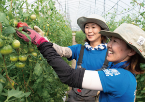 <p>大阪出身の女性2名で新規就農を果たし、11年目。完熟堆肥や緑肥を使い、環境保全型農業を実践しています。今後の目標として、小麦生産からのパン製造にも意欲的です。</p>