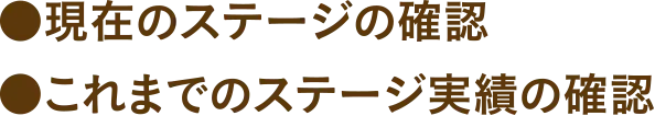 現在のステージの確認や、これまでのステージ実績の確認